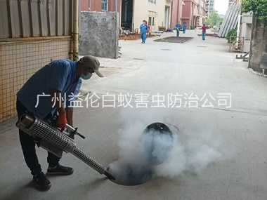 广州街道消灭蚊虫工程