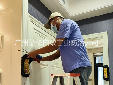 天河区住宅白蚁防治工程